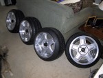 The Line up #1
