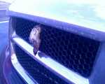 022607_17031.jpg