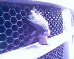 022607_17041.jpg