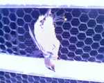 022607_17042.jpg